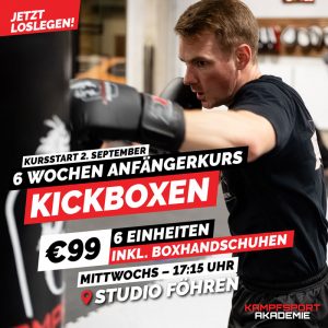 Anfängerkurs Kickboxen