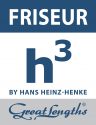 h3